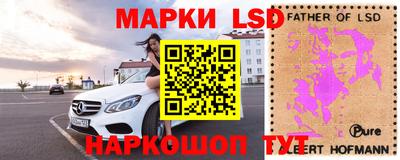 сатива Гатчина