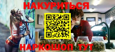 сатива Гатчина