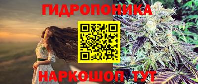 индика Гай