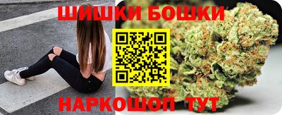 сатива Гатчина