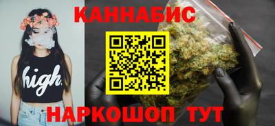 индика Гай