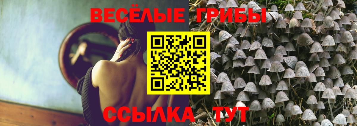 Псилоцибиновые грибы Psilocybine cubensis  магазин продажи наркотиков  Оренбург  Вход с VPN 