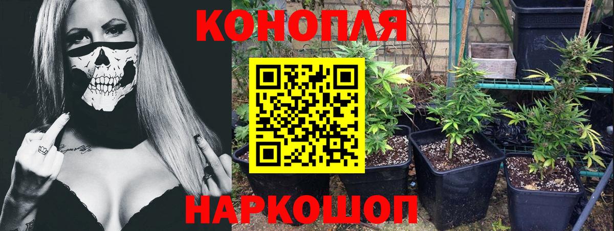 Бошки Шишки тримм Оренбург
